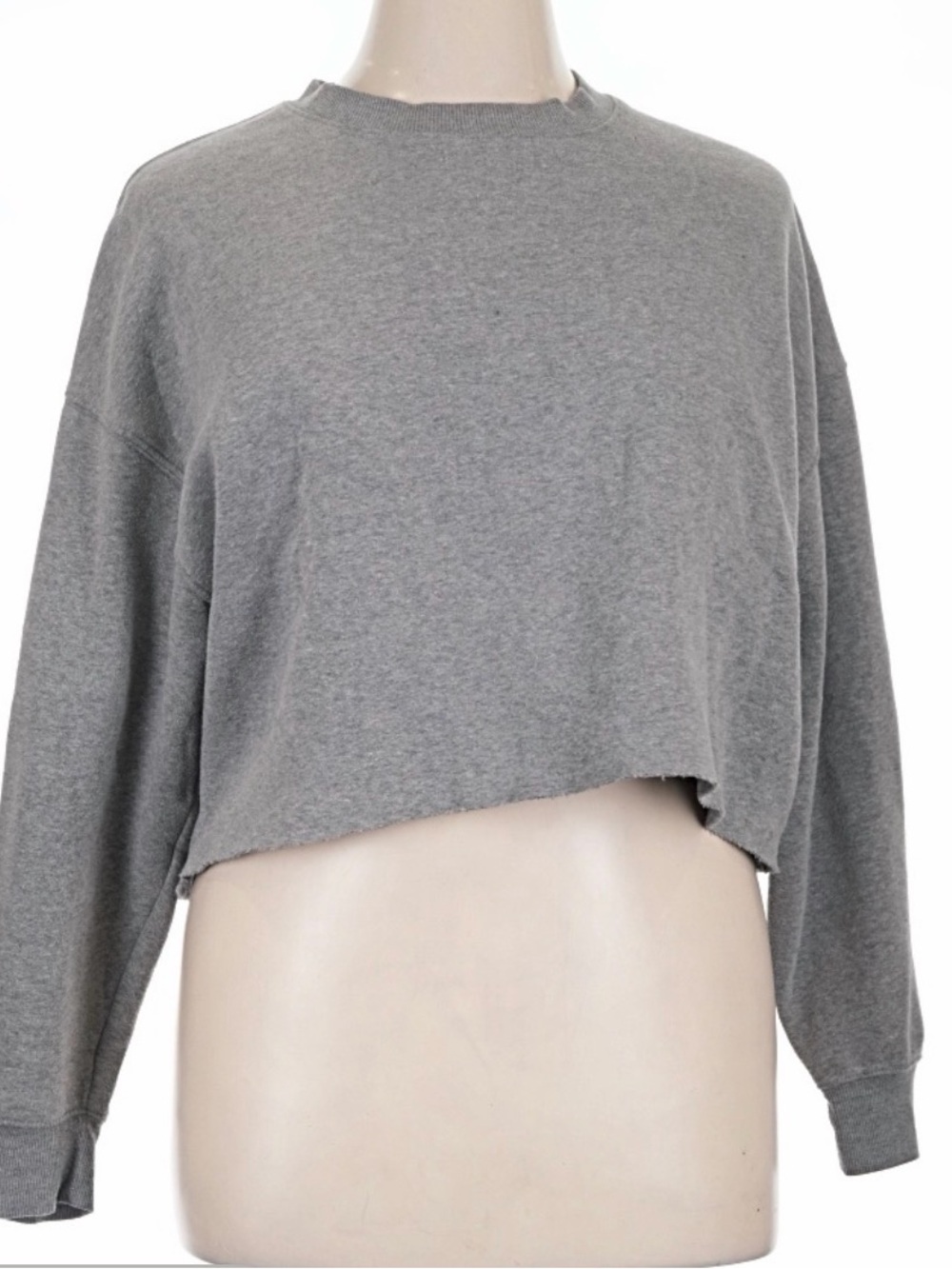 wild fable Gray Cropped Long-Sleeve Crewneck Sweatshirt